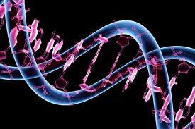 rantai DNA